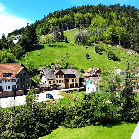 Haus Enere Au Nummer 13 Todtmoos