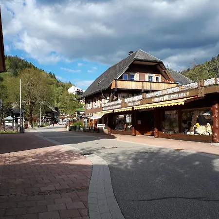 Haus Enere Au Nummer 13 Appartement Todtmoos